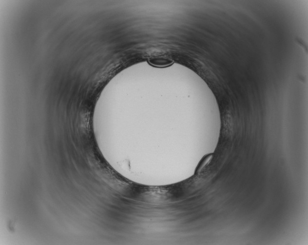 X0000101980278200808081622