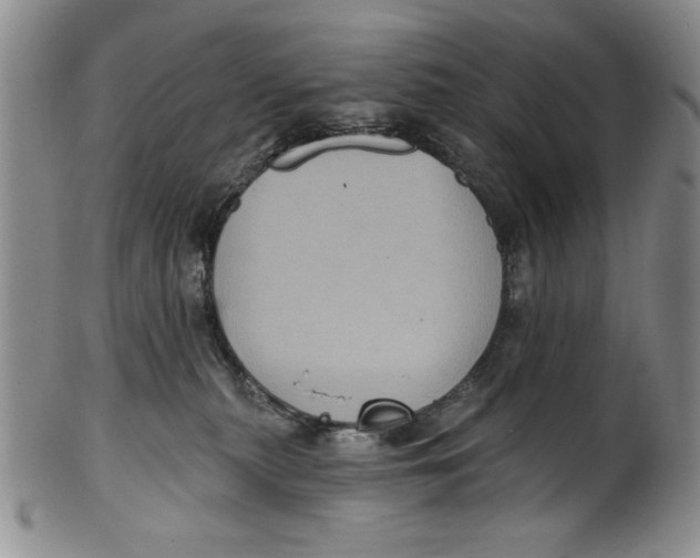 X0000101980279200808081622