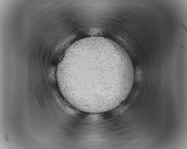 X0000101980280200808081622