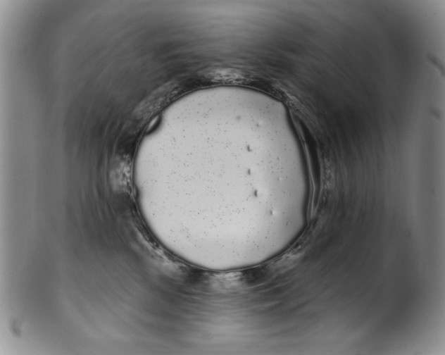 X0000101980281200808081622