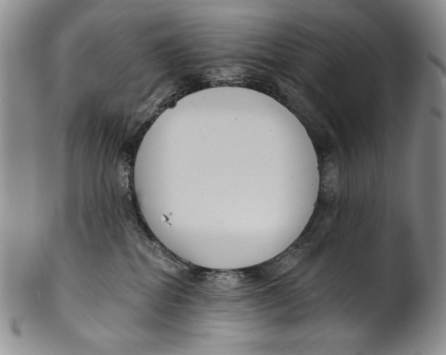 X0000101980282200808081622