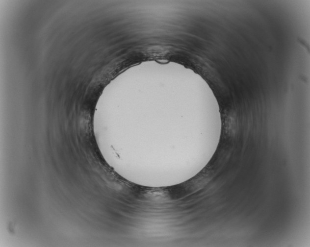 X0000101980283200808081622