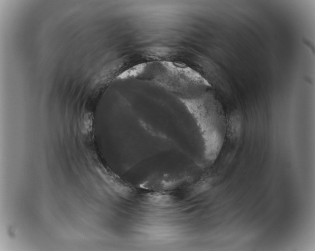 X0000101980284200808081622