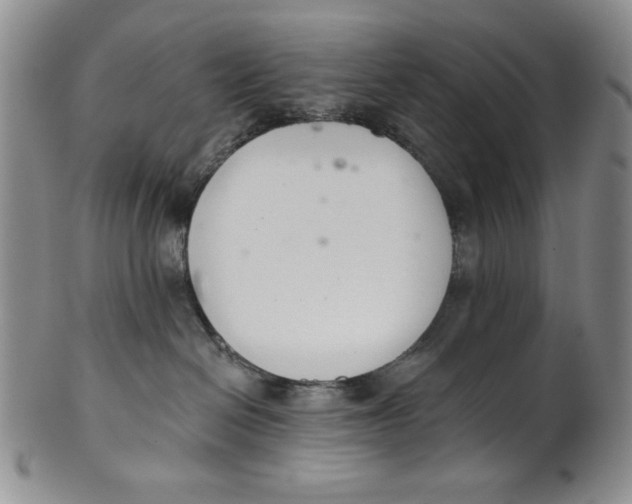 X0000101980286200808081622