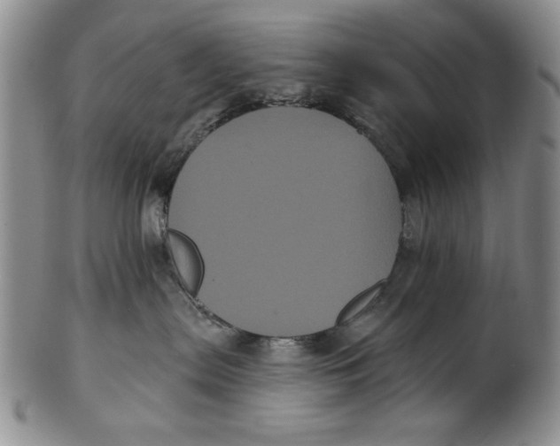 X0000101980287200808081622