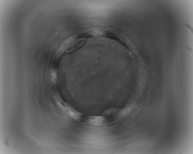 X0000101980288200808081622