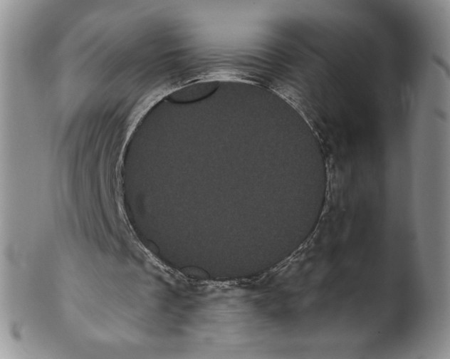 X0000101980289200808081622