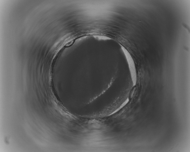 X0000101980290200808081622