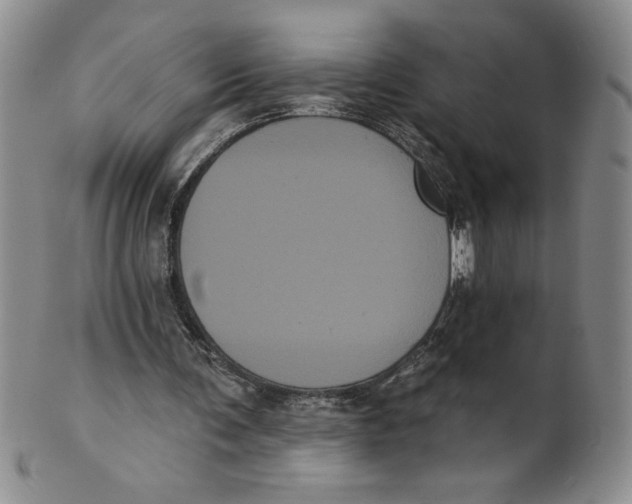 X0000101980291200808081622