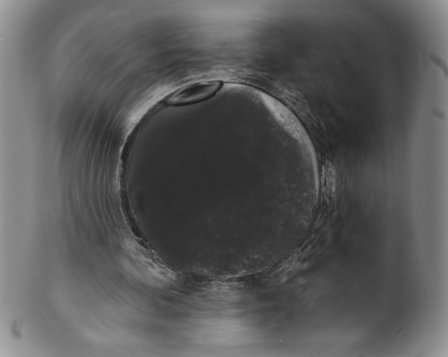 X0000101980292200808081622