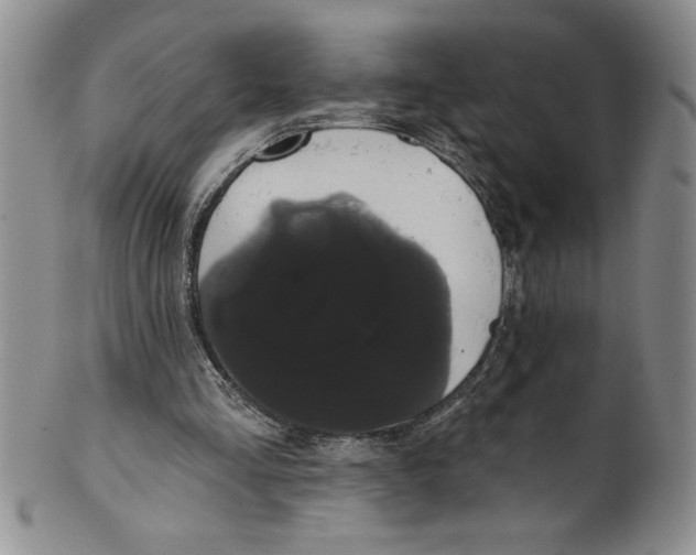 X0000101980293200808081622