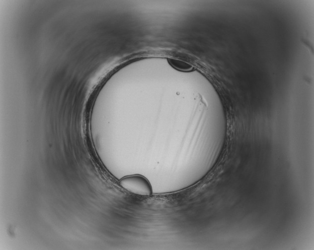 X0000101980294200808081622