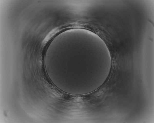 X0000101980295200808081622