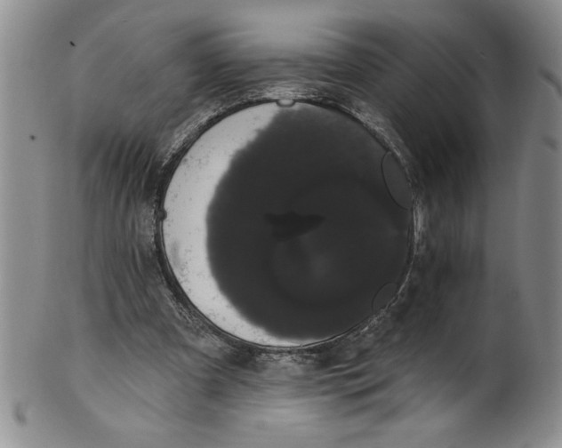 X0000101980297200808081622