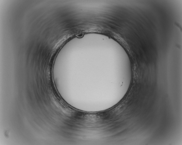 X0000101980298200808081622