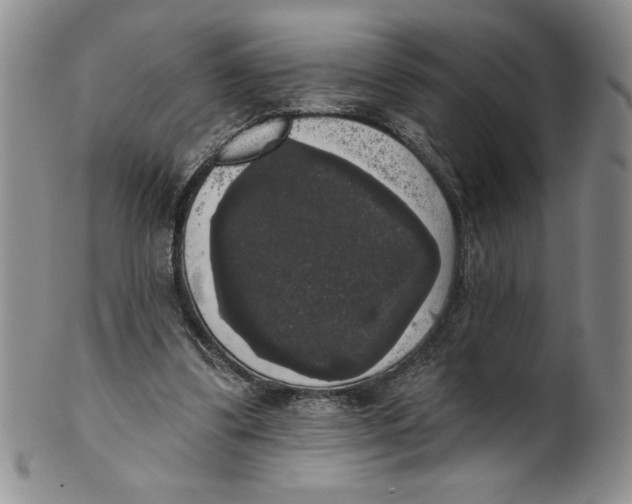 X0000101980299200808081622