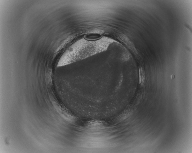 X0000101980300200808081622