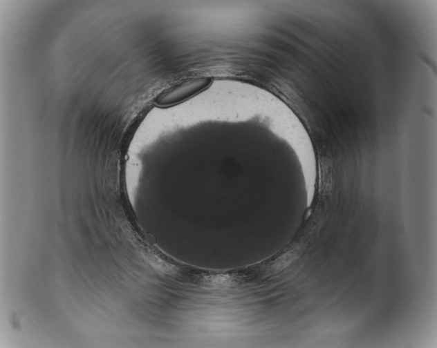 X0000101980301200808081622