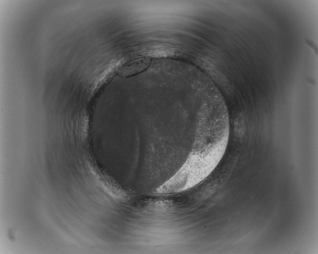 X0000101980304200808081621