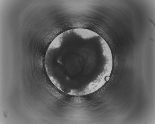 X0000101980305200808081621