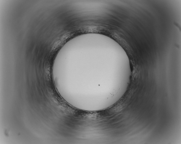 X0000101980306200808081621