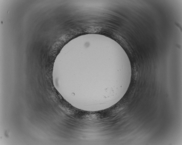 X0000101980307200808081621