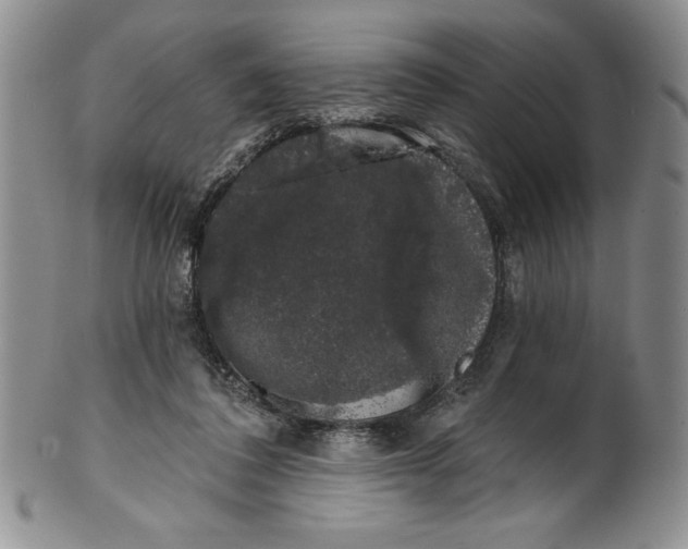 X0000101980308200808081621