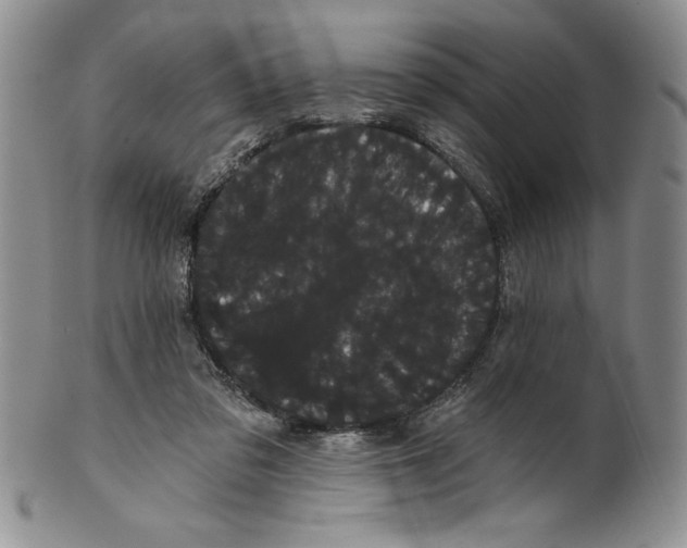 X0000101980309200808081621