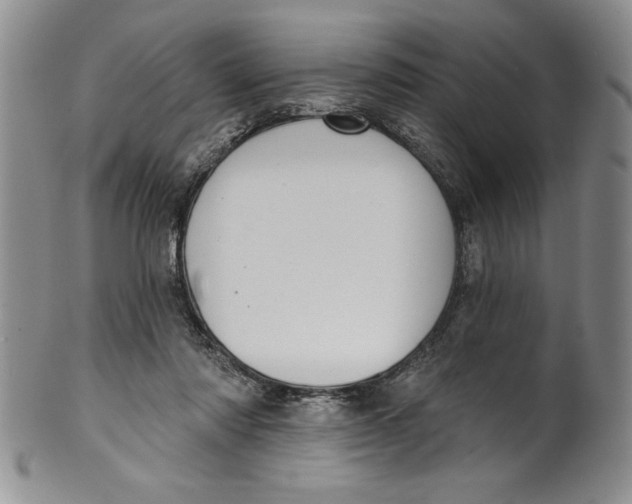 X0000101980310200808081621