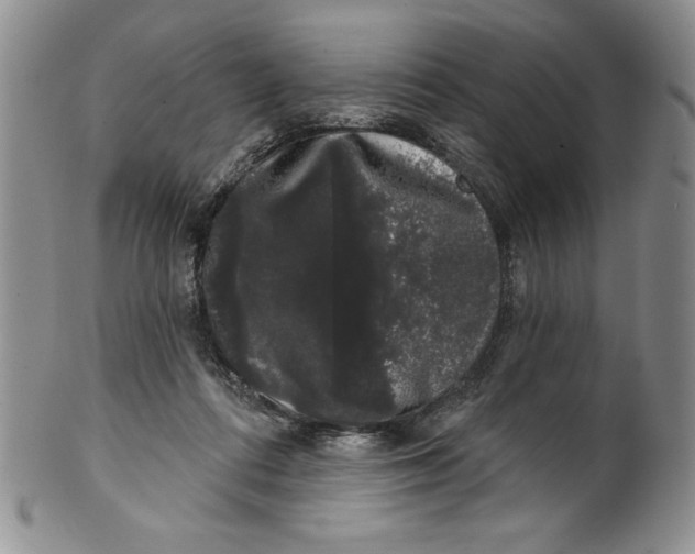 X0000101980312200808081621