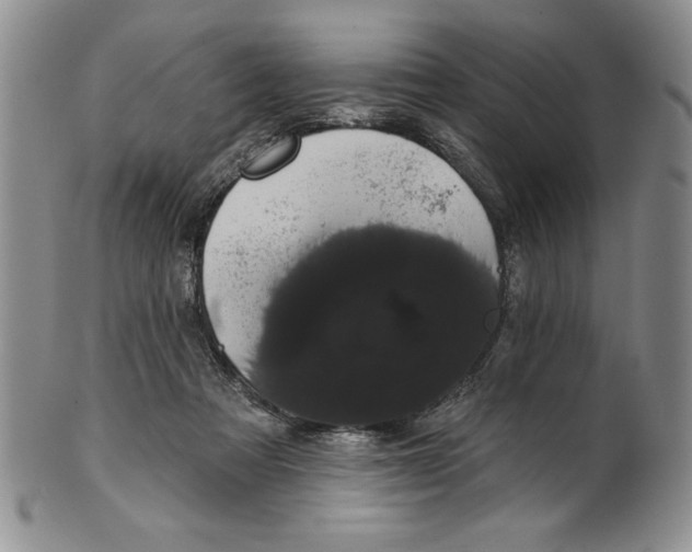 X0000101980313200808081621