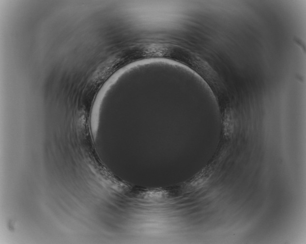 X0000101980314200808081621