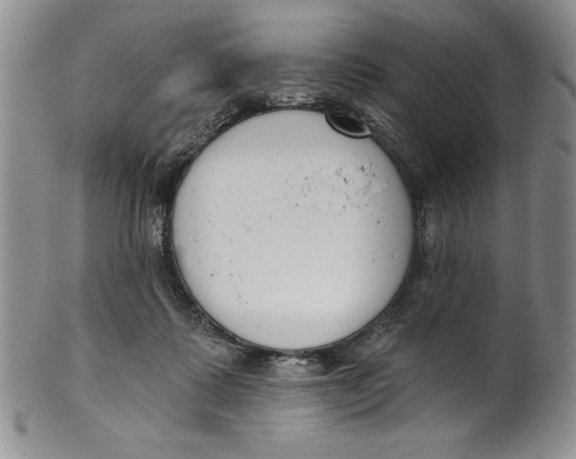 X0000101980315200808081621