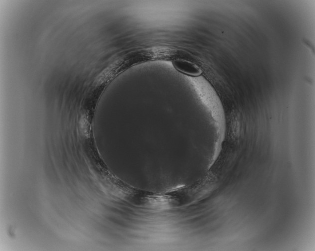 X0000101980316200808081621