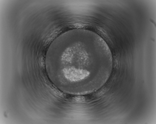 X0000101980317200808081621