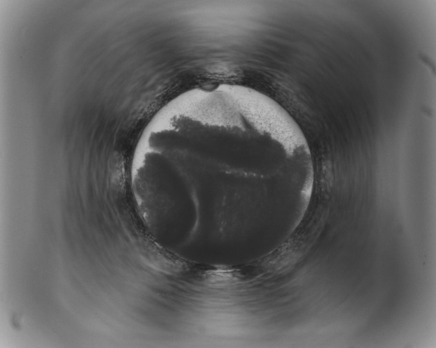 X0000101980320200808081621