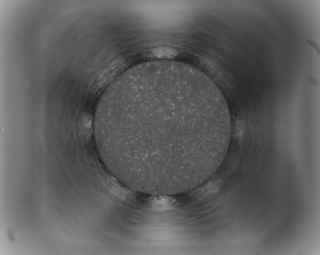 X0000101980321200808081621