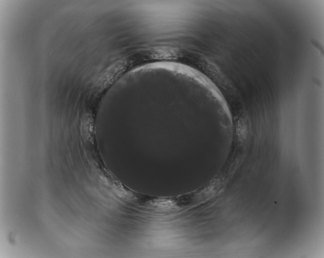 X0000101980322200808081621