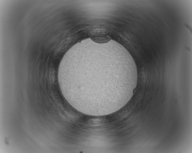 X0000101980323200808081621