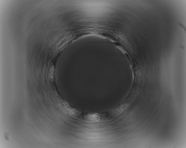 X0000101980325200808081621