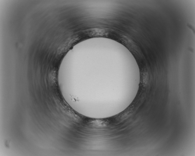 X0000101980326200808081621