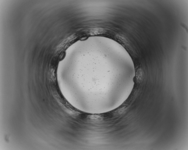 X0000101980327200808081621