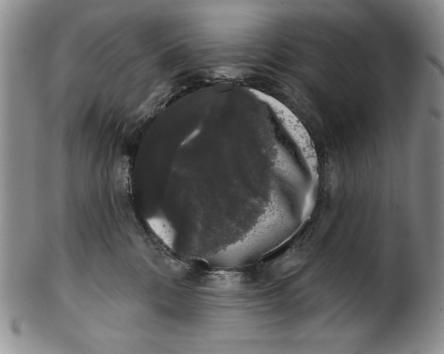 X0000101980328200808081621