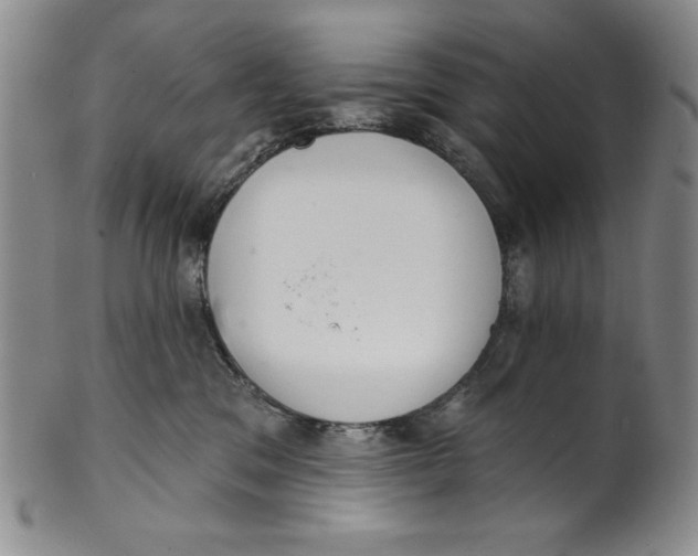 X0000101980329200808081621