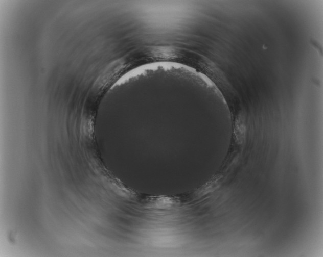 X0000101980330200808081621