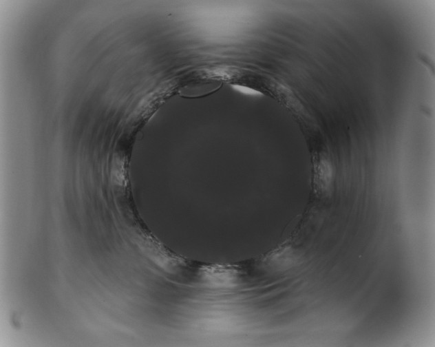 X0000101980331200808081621