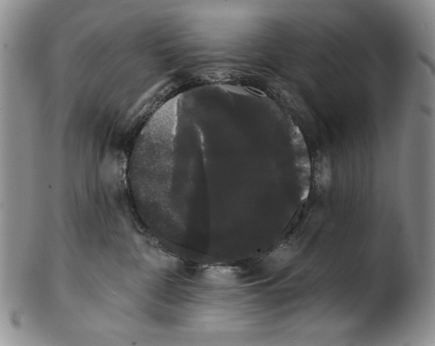 X0000101980332200808081621