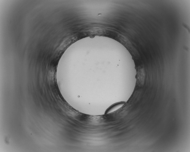 X0000101980333200808081621