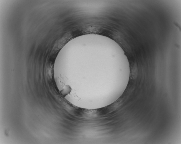 X0000101980334200808081621