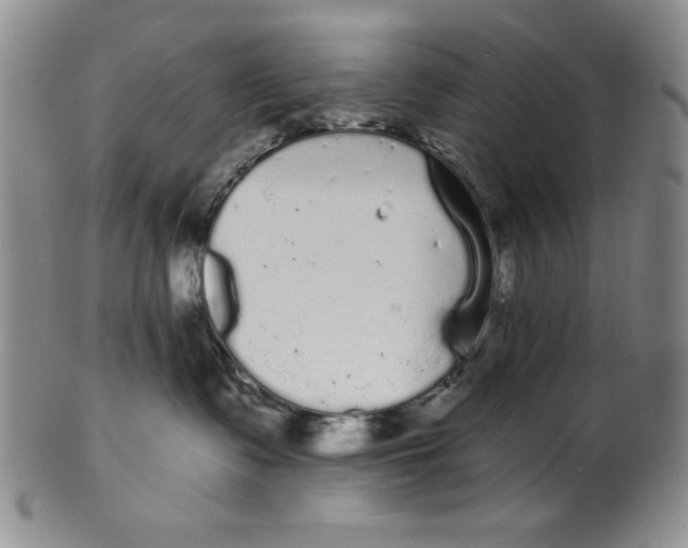 X0000101980335200808081621